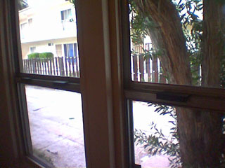 looking out a window, a tree in the foreground, a fence and an apartment building in the background